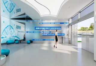 广东滚动HDP轴承厂