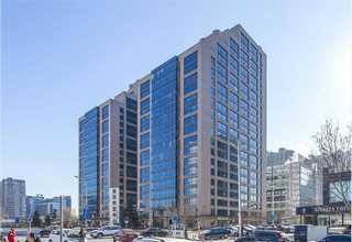 河北种植全锆牙定制厂家