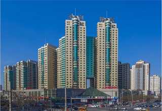 坪山区税务代理条件